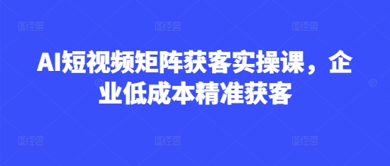 AI短视频矩阵获客实操课，企业低成本精准获客-新时光资源网