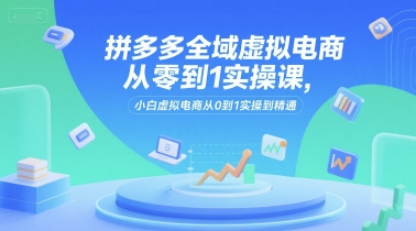 拼多多全域虚拟电商从零到1实操课，小白虚拟电商从0到1实操到精通-新时光资源网