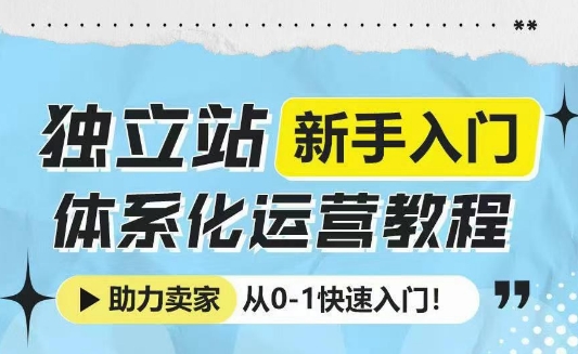 独立站新手入门体系化运营教程，助力独立站卖家从0-1快速入门!-新时光资源网