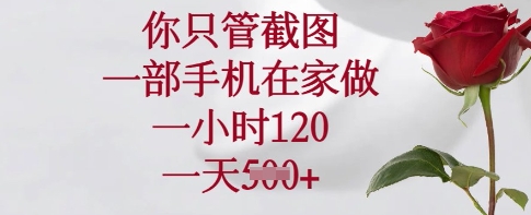 你只管截图，一部手机在家做，一小时120.一天5张【揭秘】-新时光资源网