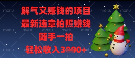 解气又挣钱的项目，最新违章拍照挣钱，随手一拍，轻松收入多张【揭秘】-新时光资源网