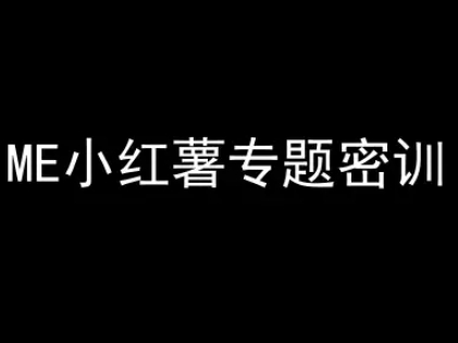 ME小红薯专题密训-小红书电商教程-新时光资源网