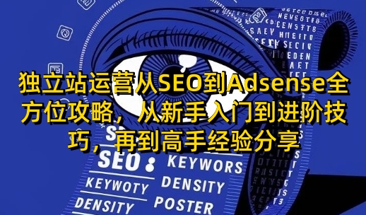 独立站运营从SEO到Adsense全方位攻略，从新手入门到进阶技巧，再到高手经验分享-新时光资源网