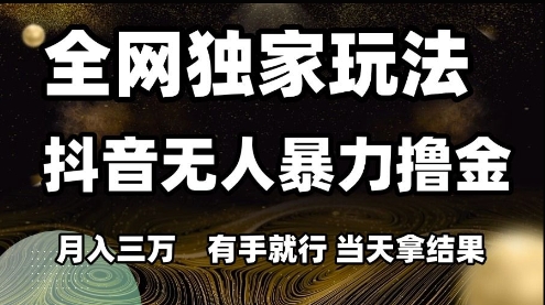 全网独家玩法抖音无人暴力撸金，月入3W，有手就行，当天拿结果【揭秘】-新时光资源网