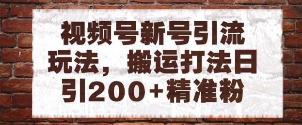 视频号新号引流玩法，搬运打法日引200+精准粉，可矩阵放大【揭秘】-新时光资源网