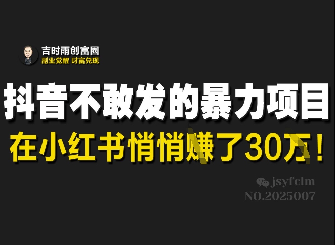 抖音不敢发的暴利项目，在小红书悄悄挣了30W-新时光资源网