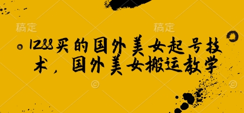1288买的国外美女起号技术，国外美女搬运教学-新时光资源网