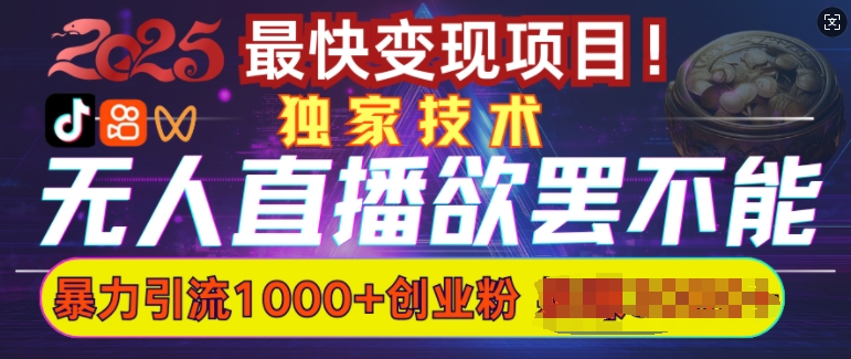 欲罢不能的无人直播引流，超暴力日引流1000+高质量精准创业粉-新时光资源网