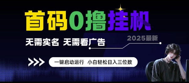 首码0撸挂G项目，无需实名无需看广告 一键启动运行，小白轻松日入三位数【揭秘】-新时光资源网