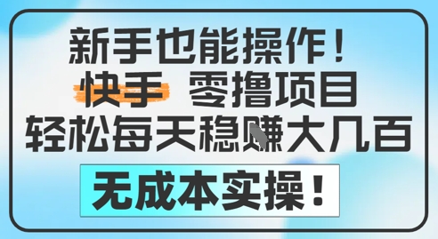 新手也能操作，快手零撸挣米，轻松每天挣2-5张，完全无成本-新时光资源网