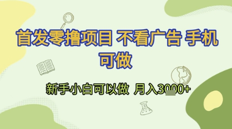 首发零撸项目 不看广告 手机可做 新手小白可以做  月入3k+【揭秘】-新时光资源网