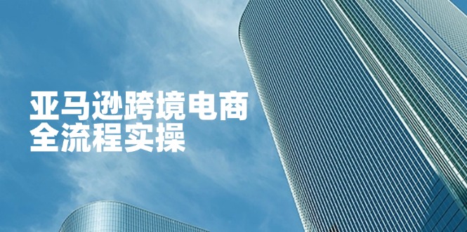 亚马逊跨境电商全流程实操，教你从零开始，掌握店铺运营与广告技巧-新时光资源网