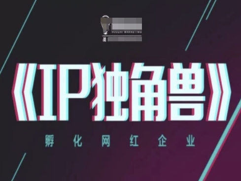 IP独角兽，孵化网红企业，ip教程-新时光资源网