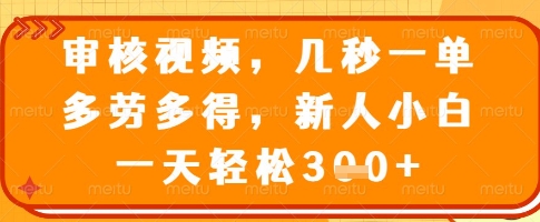 审核视频，几秒一单，多劳多得，新人小白一天轻松3张【揭秘】-新时光资源网