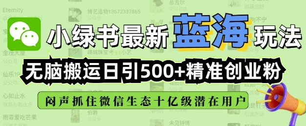 小绿书无脑搬运引流，全自动日引500精准创业粉，微信生态内又一个闷声发财的机会-新时光资源网