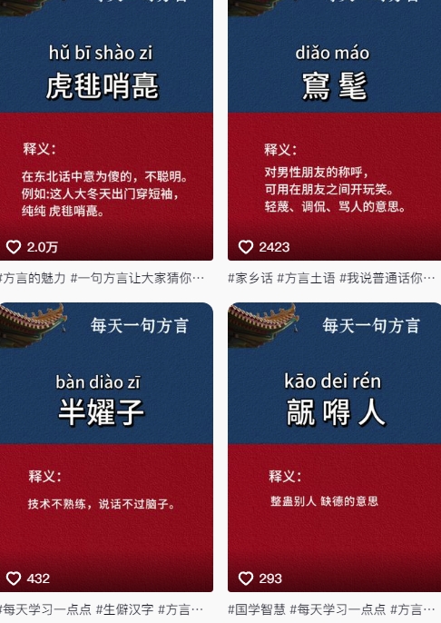 抖音最新涨粉玩法，图文方言暴力涨粉实操，126作品涨粉11W-新时光资源网