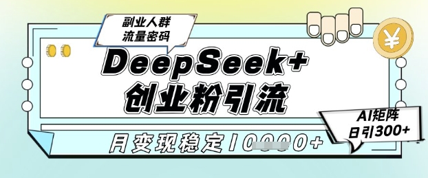 DeepSeek+创业粉精准引流，全新分享课4.0玩法，AI矩阵日引300+，多种变现方式，稳定月入1W-新时光资源网