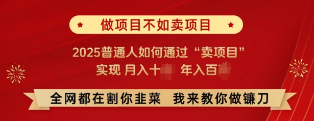 必看，做项目不如卖项目，2025普通人如何通过“卖项目”实现月入十个，年入百个-新时光资源网