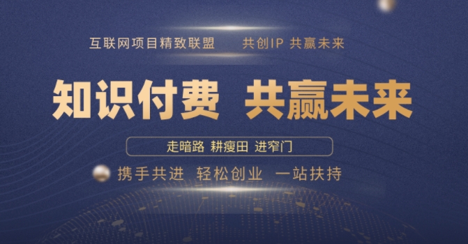 别人苦寻无果，为何他们靠知识付费卖项目 2025 年轻松年入100个?【揭秘】-新时光资源网
