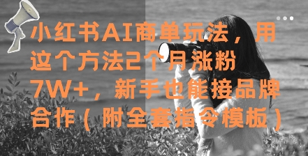 小红书AI商单玩法，用这个方法2个月涨粉7W+，新手也能接品牌合作(附全套指令模板)-新时光资源网