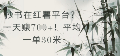 抄书在小红薯平台？平均一单30米，一天收益几张！-新时光资源网