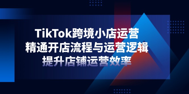 TikTok跨境小店运营，精通开店流程与运营逻辑，提升店铺运营效率-新时光资源网