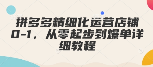 拼多多精细化运营店铺0-1，从零起步到爆单详细教程-新时光资源网