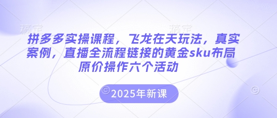 拼多多实操课程，飞龙在天玩法，真实案例，直播全流程链接的黄金sku布局原价操作六个活动-新时光资源网