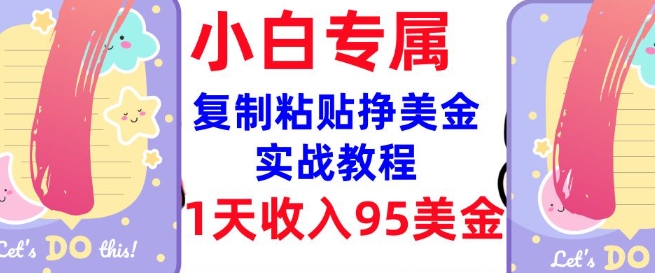 复制粘贴挣美金，0门槛，1天收入95美刀，3分钟学会，内部教程(首次公开)-新时光资源网