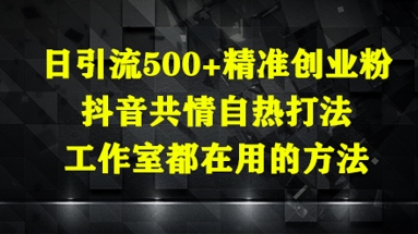 日引流500+精准创业粉，抖音共情自热打法，工作室都在用的方法-新时光资源网
