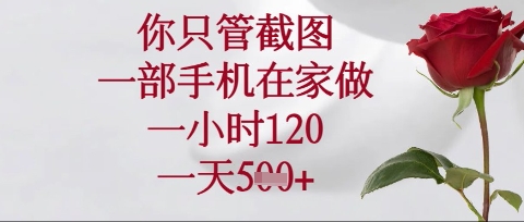 你只管截图，一部手机在家操作，一小时120.一天5张【揭秘】-新时光资源网