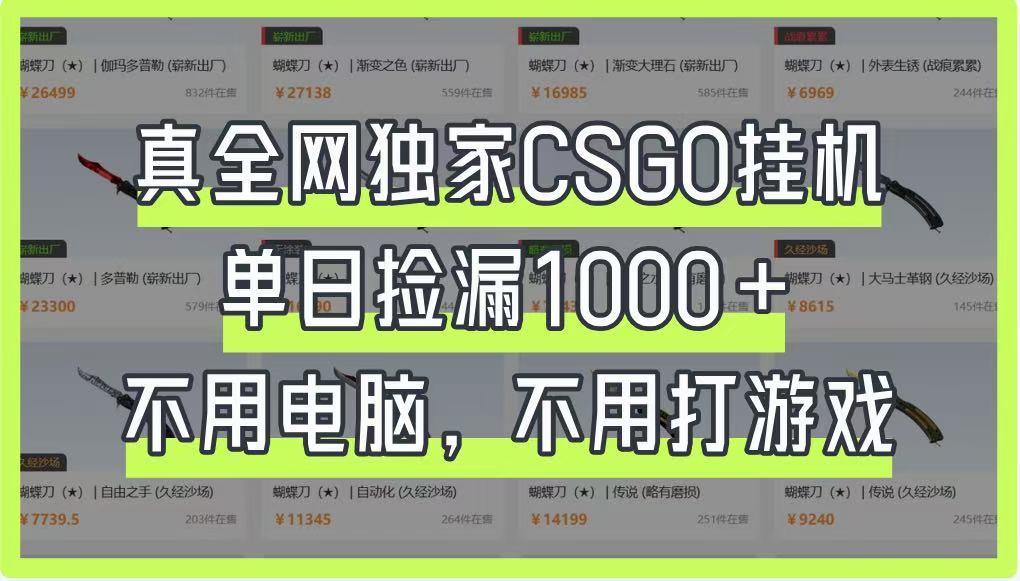 真全网独家CSGO挂机，单日捡漏1000+，不用电脑，不用养号-新时光资源网