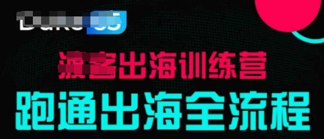 出海训练营基础课，​跑通出海全流程，实战案例拆解-新时光资源网