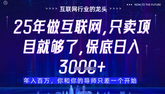 什么！25年你还在找项目做？风口早就变了，卖项目才是稳挣不赔【揭秘】-新时光资源网