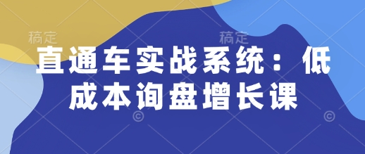 直通车实战系统：低成本询盘增长课，让个人通过技能实现升职加薪，让企业低成本获客，订单源源不断-新时光资源网