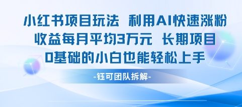 适合小白操作的小红书新项目，利用AI快速涨粉，收益每月平均1W+-新时光资源网