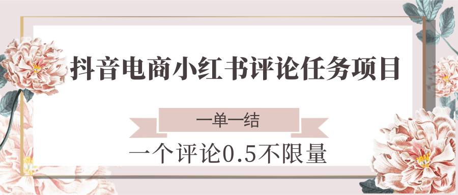 抖音电商小红书评论任务项目，一个评论0.5，一单一结 不限量-新时光资源网