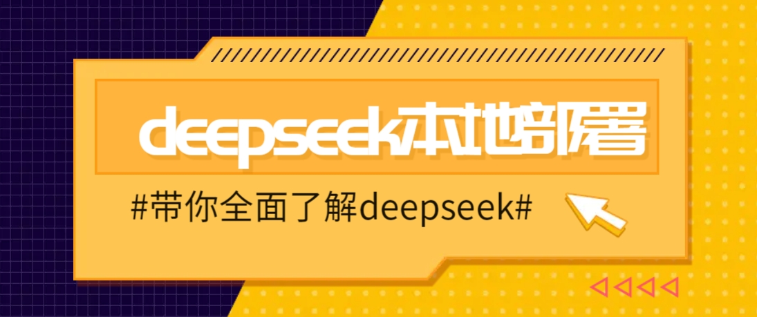 DeepSeek本地部署详细教程，轻松将deepseek部署到你的电脑上-新时光资源网