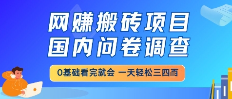 网创搬砖项目，国内问卷调查，小白轻松上手，一天三四张的也不难，干就完了【揭秘】-新时光资源网