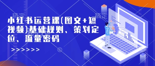 小红书运营课(图文+短视频)基础规则、策划定位、流量密码-新时光资源网