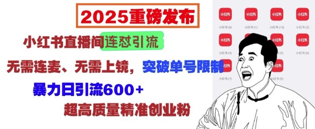 2025重磅发布：小红书直播间连怼引流，无需连麦、无需上镜，突破单号限制，暴力日引流600+-新时光资源网