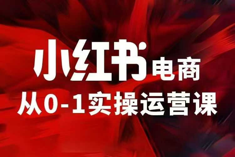 小红书电商运营，97节小红书vip内部课，带你实现小红书赚钱-新时光资源网