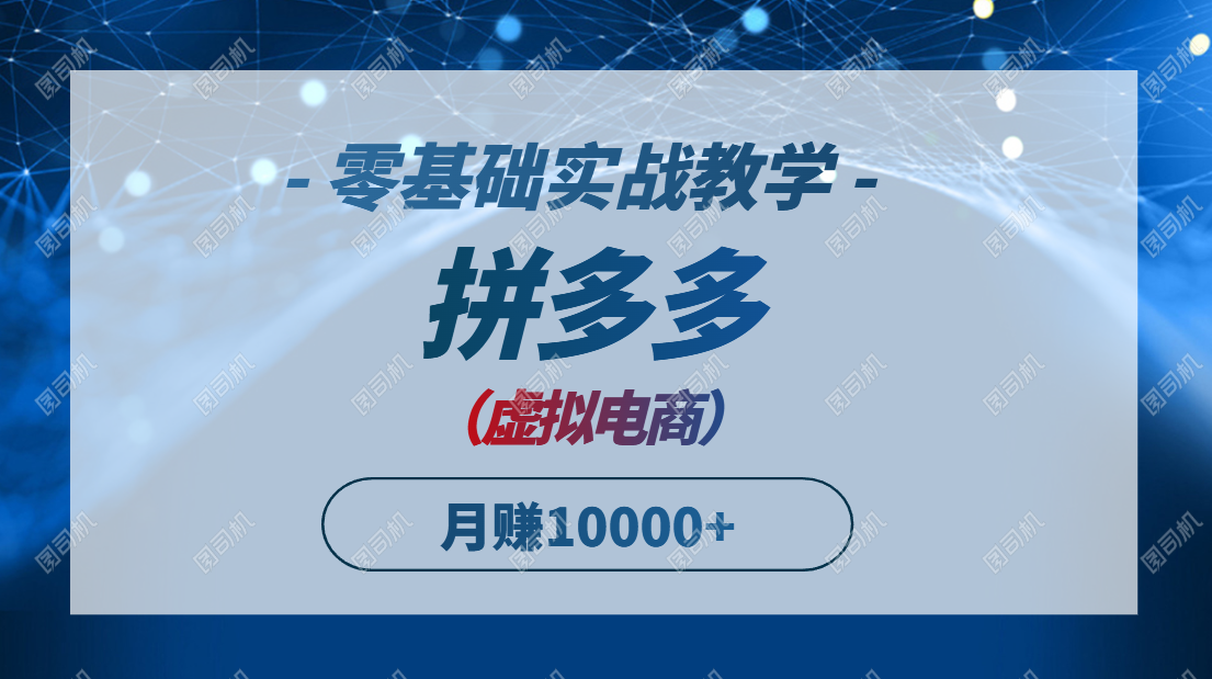 拼多多虚拟电商，零基础实战教学，快速打爆商品，新手也能月入10000+-新时光资源网