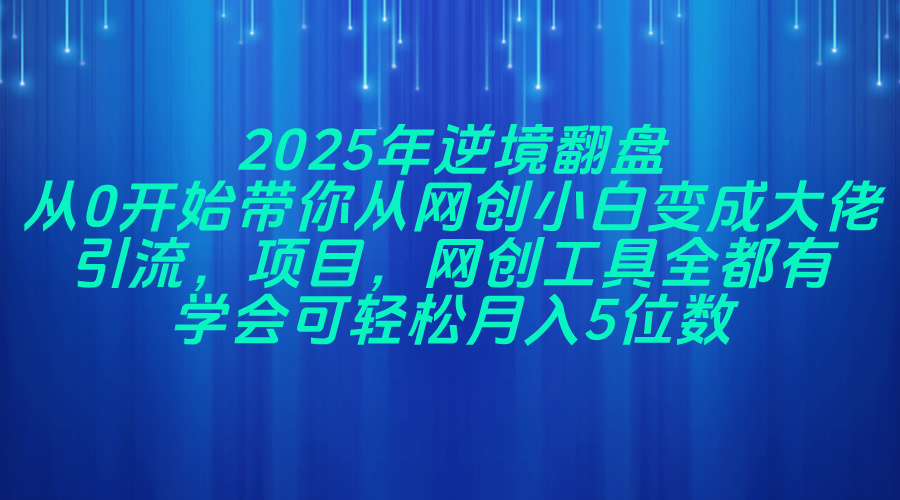 2025年逆境翻盘，从0开始带你从网创小白变成大佬，引流，项目，网创工…-新时光资源网