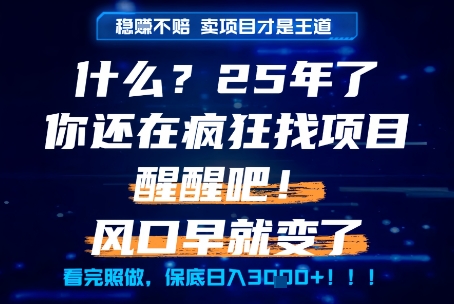 什么？25年你还在疯狂找项目做，醒醒吧，看完这些你全都懂了！【揭秘】-新时光资源网