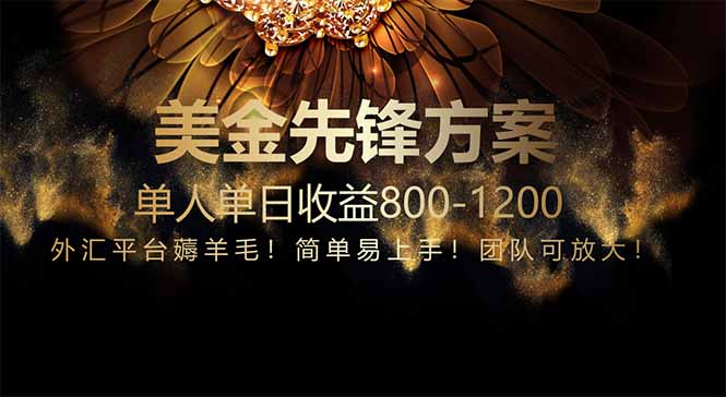 免费技术！小众赛道！一年布局抵三年努力，每日800+-新时光资源网