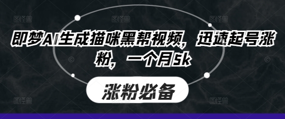 即梦AI生成猫咪黑帮视频，迅速起号涨粉，一个月5k-新时光资源网