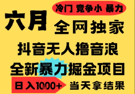 25年6月高爆抖音无人直播最新撸音浪掘金项目，小白可做，无脑日入1k+，门槛低可批量矩阵【揭秘】-新时光资源网