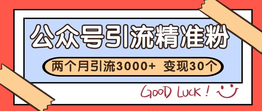 公众号精准粉引流玩法 2个月3000+精准粉 变现30万+-新时光资源网