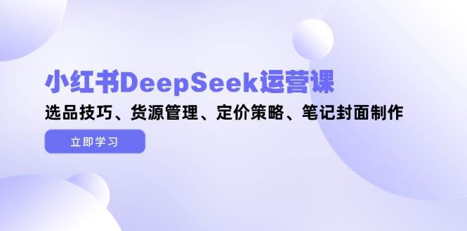 小红书DeepSeek运营课，选品技巧、货源管理、定价策略、笔记封面制作-新时光资源网
